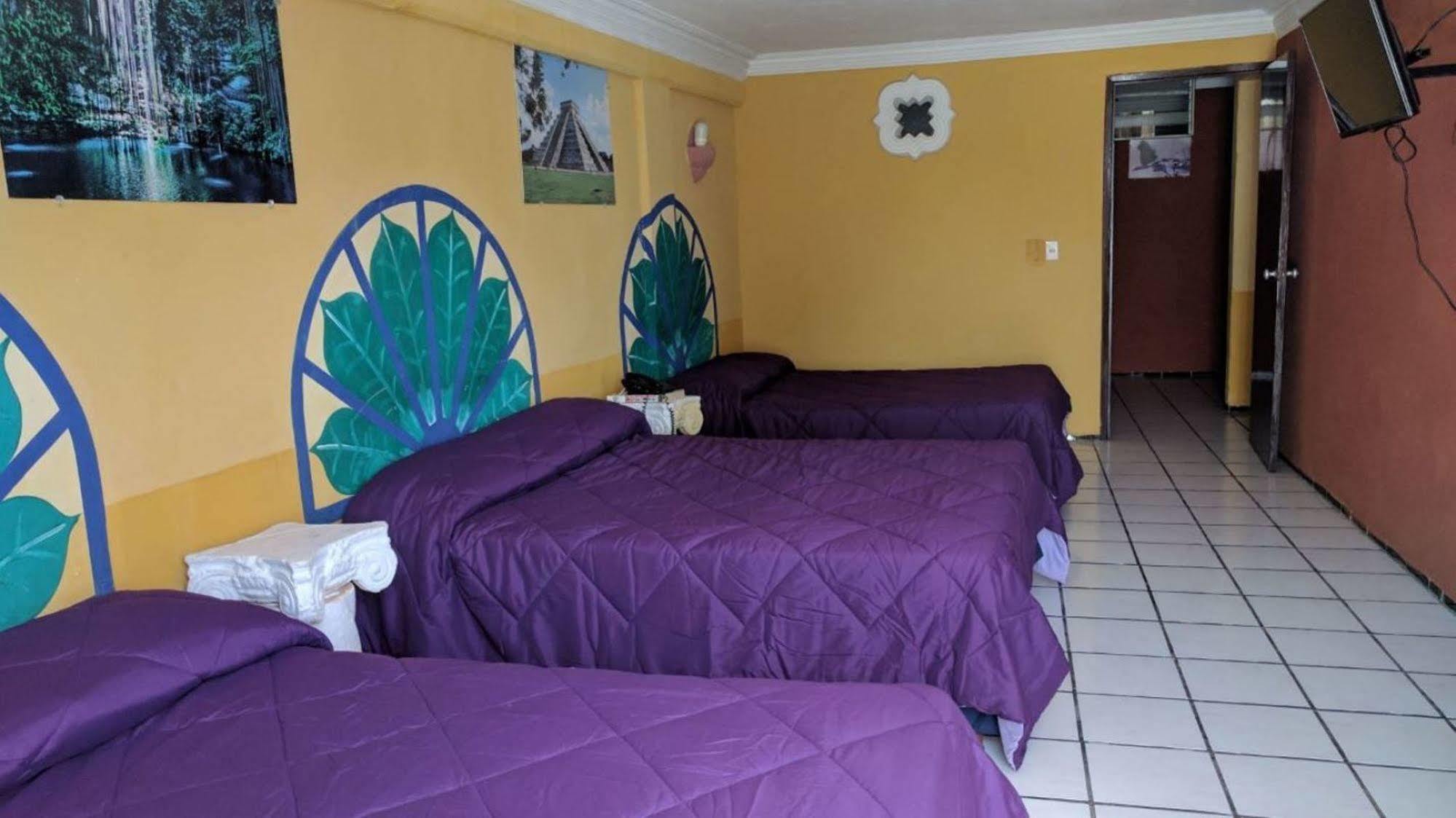 Hotel Suites Elia Noemi メリダ エクステリア 写真